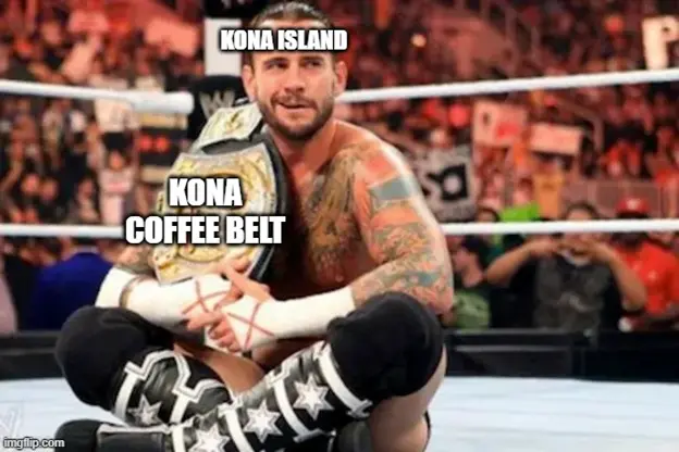 Kona Island Meme
