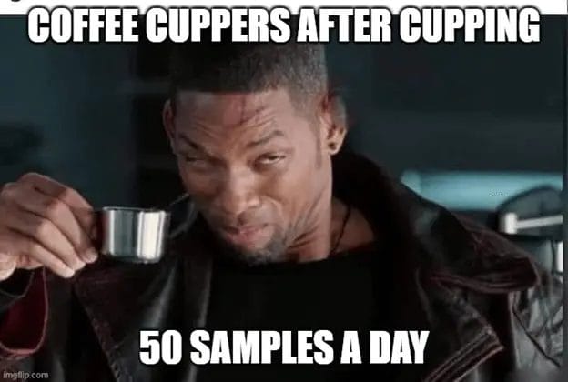 coffee cupping samples
