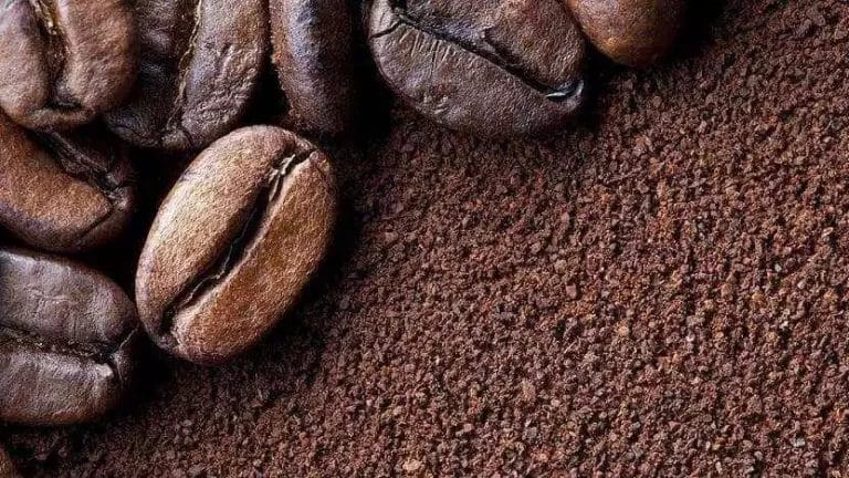 coffee grounds cover photo