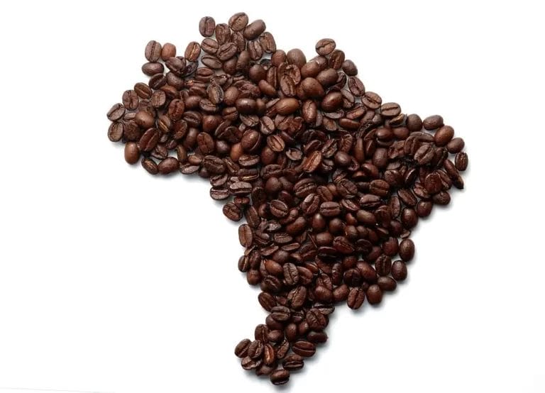 Brazilian Coffee - Kings of Coffee Production Image