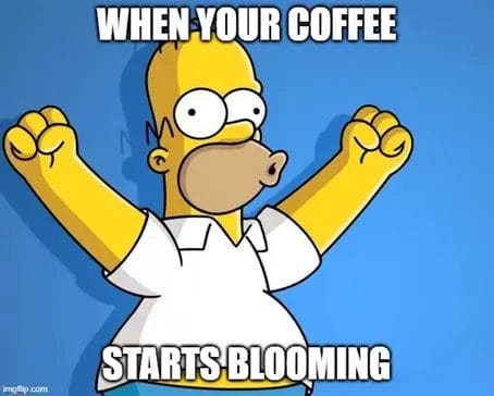 Coffee Blooming Meme
