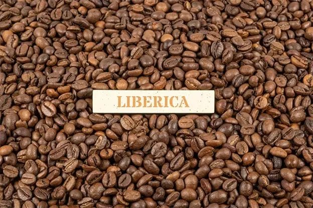 Liberica Beans Image