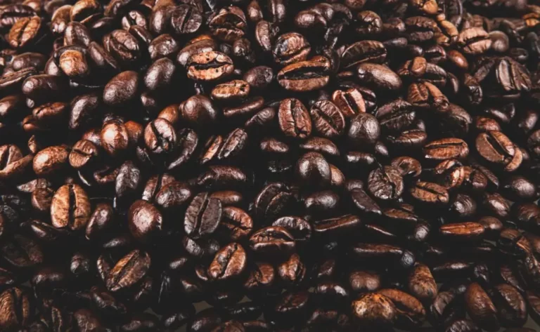 Types Of Coffee Beans Cover