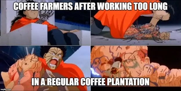 Coffee Farmers After Working Too Long Image