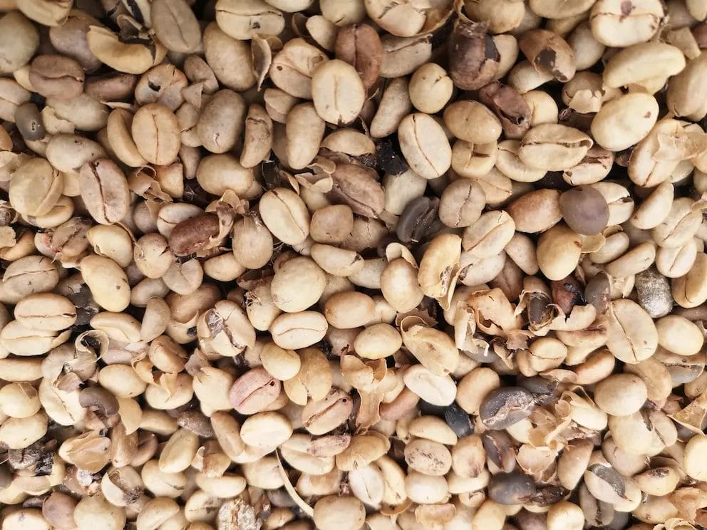 Fermented Coffee Beans