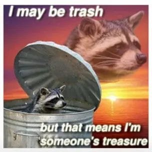 I May Be Trash Image