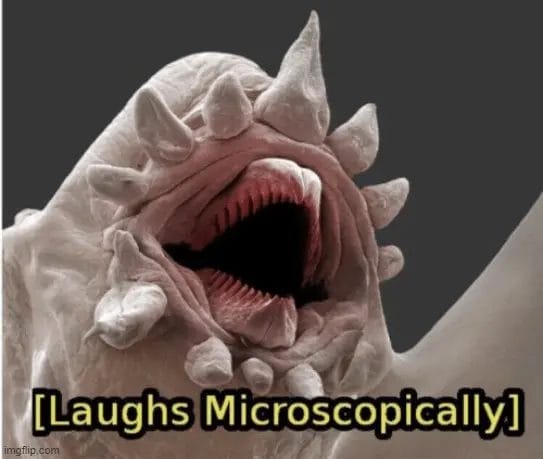 Laughs Microscopically Image