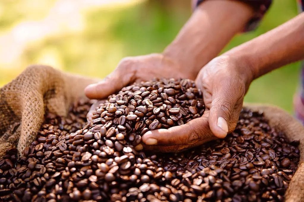 Organic Coffee Image