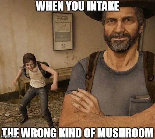 Wrong kind Of Mushroom Image