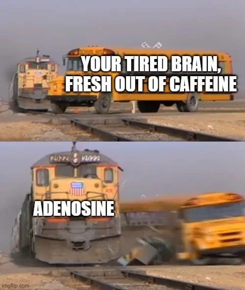 Tired Brain Vs Adenosine Image